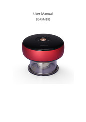 mychway BE-AYM18S User Manual