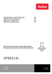 Amica OTS6512I Operating Instructions Manual