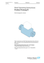 Endress+hauser Proline Promag H Manuals | ManualsLib