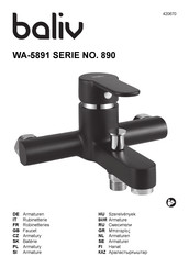baliv WA-5891 Series Manual