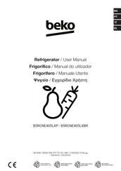 Beko B5RCNE405LXP User Manual
