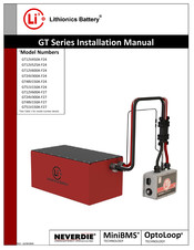 Lithionics Battery GT12V-600AF24-CTRL300 Installation Manual
