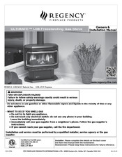 Regency Fireplace Products U38-NG13 Owners & Installation Manual