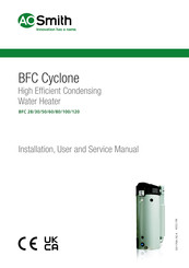 A.o. smith cyclone BFC -100 Manuals | ManualsLib