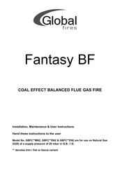 Global Fires GBFC MN2 Installation, Maintenance & User Instructions