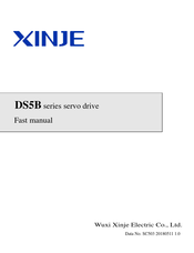 Xinje DS5B-43P0-PTA Manual