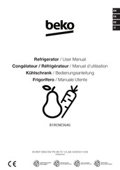 Beko B1RCNE364G User Manual