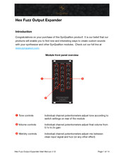 SynQuaNon Hex Fuzz Output Expander Manual