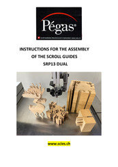 PEGAS SRP13 DUAL Instructions For The Assembly