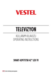 VESTEL 42PF7175B Operating Instructions Manual