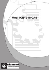 Diamond ICE19 INCAS Manual
