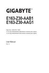 Gigabyte E163-Z30-AAB1 User Manual