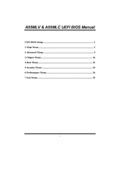 Biostar A55MLV Manual