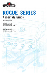 Napoleon RSE425RSIBPK-1-DE-A Assembly Manual