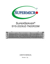 Supermicro SuperServer SYS-2029UZ-TN20R25M User Manual