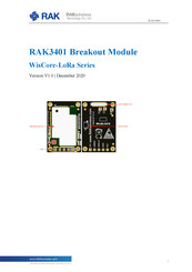 Rak WisCore-LoRa RAK3401 Quick Start Manual