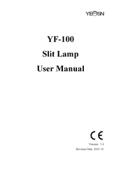 Yeasn YF-100 User Manual