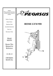 Pegasus HG950 Owner's Manual
