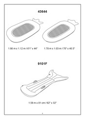 Bestway Sweet Summer 9101F Manual