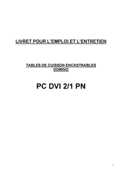 Hoover DOMINO PC DVI 2/1 PN Use And Maintenance Manual