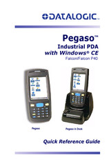 Datalogic Pegaso Falcon P40 Quick Reference Manual