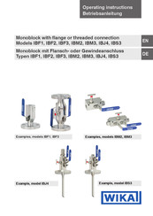 WIKA IBF1 Operating Instructions Manual