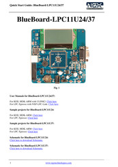NGX Technologies BlueBoard-LPC11U24 Quick Start Manual