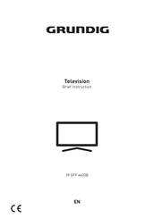 Grundig 39 GFF 6620B Brief Instruction