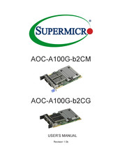 Supermicro AOC-A100G-b2CG User Manual