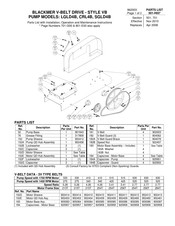 Blackmer LGLD4B Manual