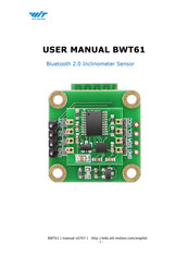 WiT BWT61 User Manual