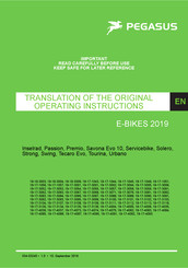 Pegasus 19-17-3055 Translation Of The Original Operating Instructions