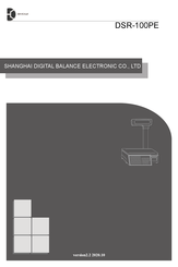 DB Electronics DSR-100PE Manual