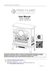 Febo Flame 810469828 User Manual