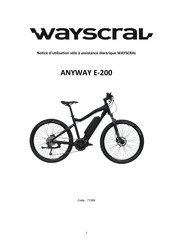 Wayscral ANYWAY E-200 Manual