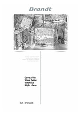 Brandt BFW56GB Instruction Manual