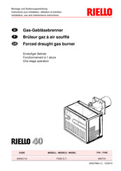 Riello FS20 G.T. Installation, Use And Maintenance Instructions