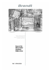 Brandt BFW105GB Instruction Manual