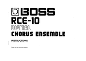 Boss RCE-10 Instructions Manual