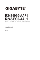 Gigabyte R243-EG0-AAF1 User Manual