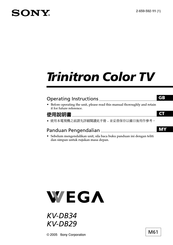 Sony Trinitron WEGA KV-DB29 Operating Instructions Manual