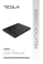 Tesla IC300B User Manual