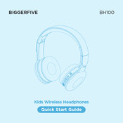 BiggerFive BH100 Quick Start Manual