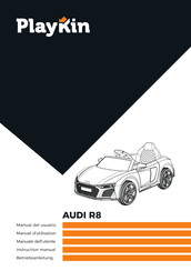 PLAYKIN 1300198 Instruction Manual