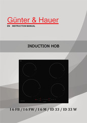 Gunter & Hauer I 6 M Instruction Manual