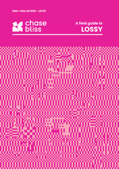 Chase Bliss Audio Lossy Manual