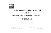 Lifan P10 Operating Instructions Manual