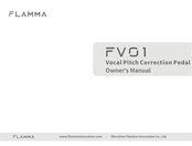 FLAMMA FV01 Owner's Manual