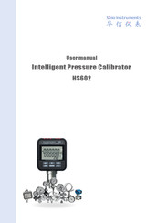 Sino Instruments HS602 User Manual