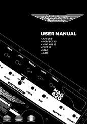 Ashdown MAG User Manual